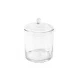 Terrário Alto de Vidro